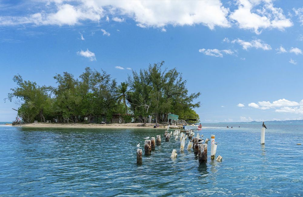 A la deriva reconstrucción Isla Ratones en Puerto Rico – EL SOL MAGAZINE